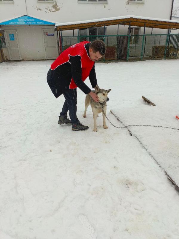 Молодые работники сервисного локомотивного депо Сольвычегодск компании "ЛокоТех-Сервис" навестили питомцев приюта "Право на жизнь"