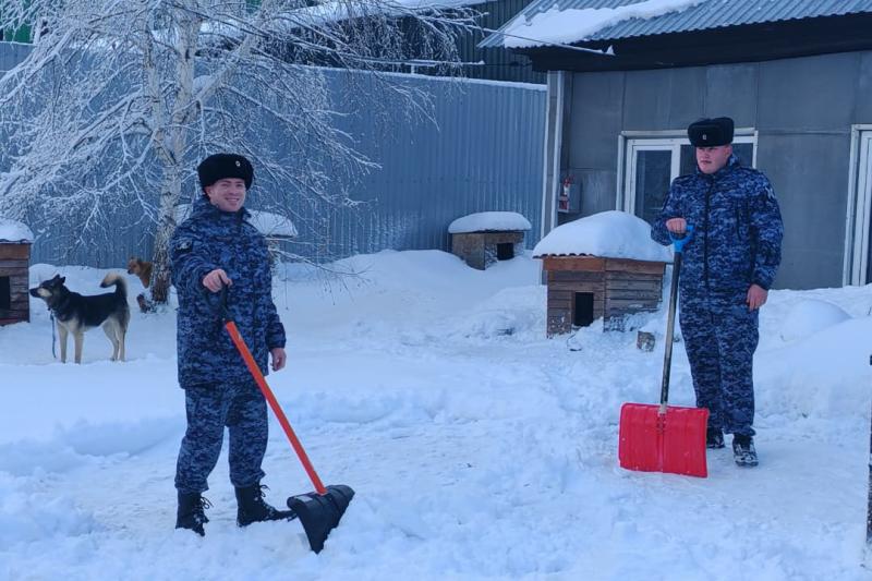 Росгвардейцы выручили юргинский приют после снегопада