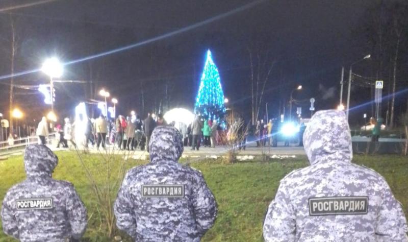 В парке "Сестрорецкий" зажгли Новогоднюю елку