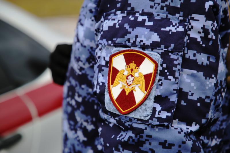 В Мордовии росгвардейцы выявили и задержали очередного злостного нарушителя ПДД