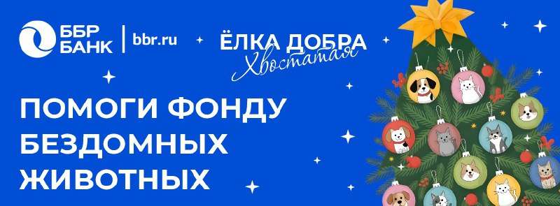 «Ёлка добра» для хвостатых друзей – новогодний проект ББР Банка