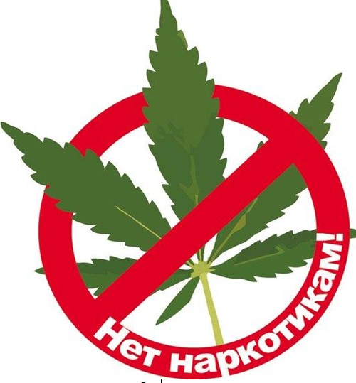 Местный житель осужден к условному лишению свободы за незаконное приобретение и хранение психотропных веществ