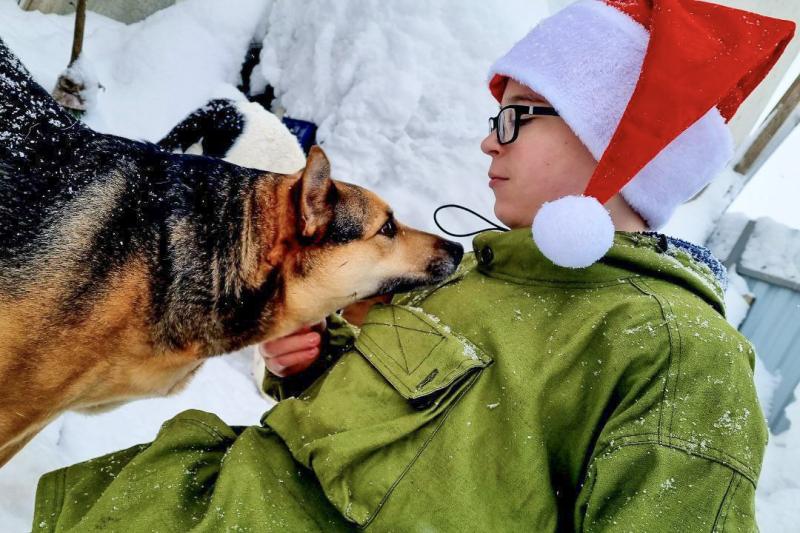 В Кузбассе спецназ Росгвардии и кадеты пришли на помощь кемеровскому приюту для животных