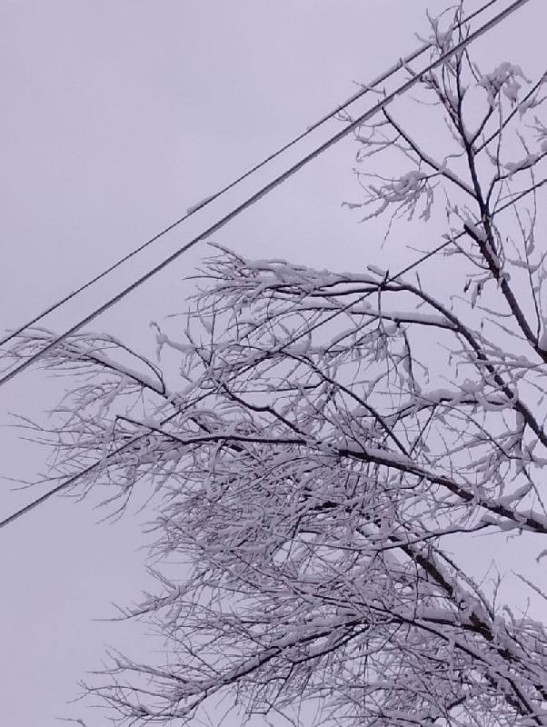 Энергетики «Смоленскэнерго» готовятся к работе в условиях непогоды