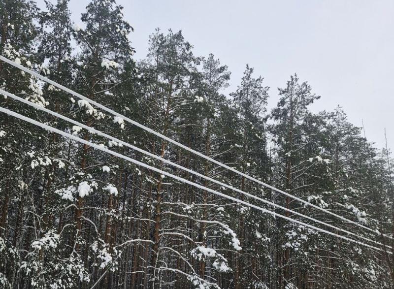 Энергетики «Рязаньэнерго» продолжают работать в режиме повышенной готовности