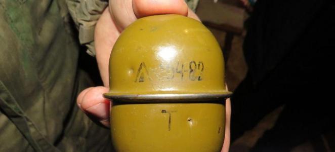 В Оренбургской области росгвардейцы обезвредили гранату  