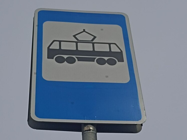 Трамвайную линию «Славянка» хотят продлить до кампуса СПбГУ