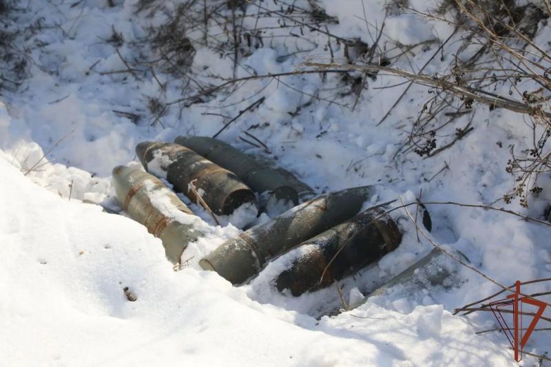За месяц спецподразделения Росгвардии изъяли около 1200 взрывоопасных предметов и около 20 кг взрывчатых веществ в ЛНР