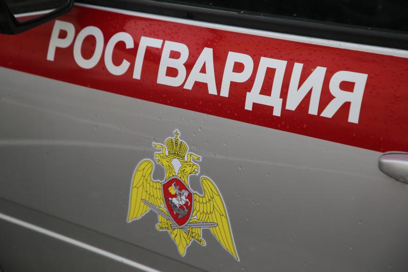 В Мордовии свыше 180 владельцев оружия проверено росгвардейцами в феврале