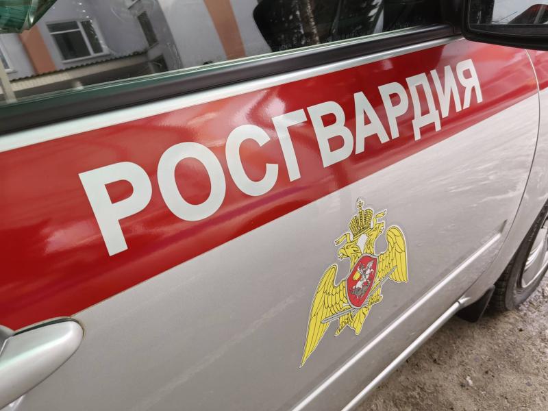 Росгвардейцы задержали мужчину, угрожавшего убийством в Брянской области