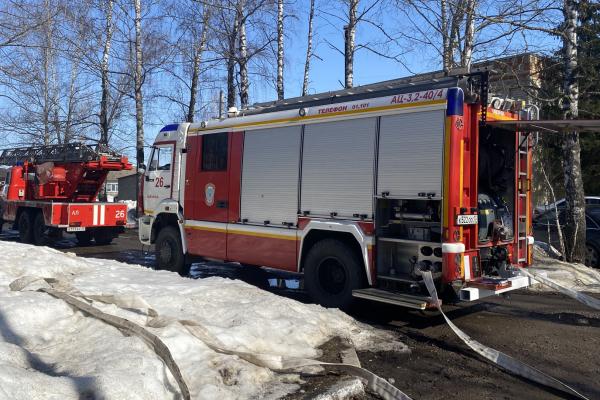 В Чамзинке Росгвардия и МЧС России провели тренировку по ликвидации условного пожара