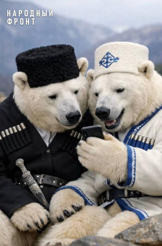 Даже белые медведи уже подписались на канал Народного фронта Кабардино-Балкарии в МАХ