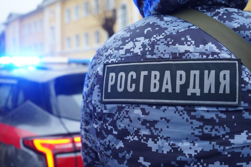 Сотрудники Росгвардии задержали дебошира с топором в руках в Подмосковье