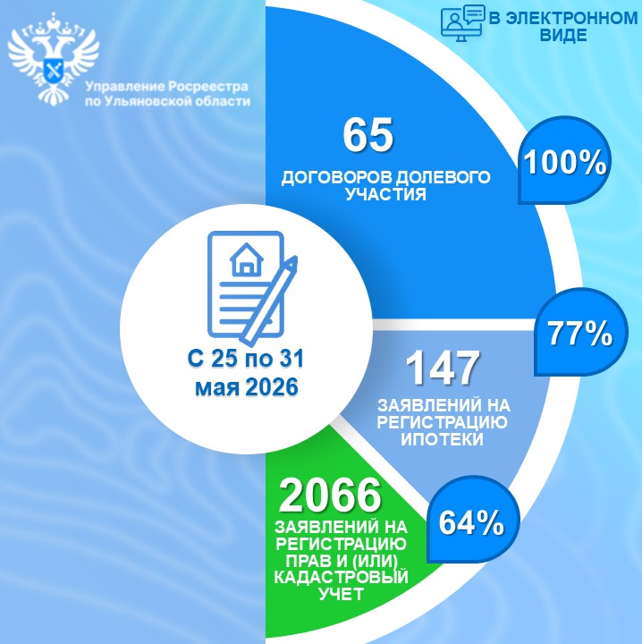 Электронные услуги (статистика) с 25 по 31 мая 2026 года