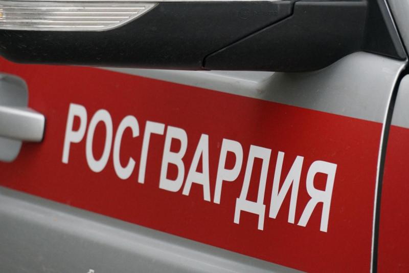 Кировские росгвардейцы задержали подозреваемую в краже спиртного