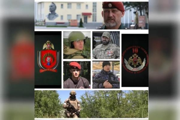 В рамках фестиваля медийного творчества "Братина" проводится показ документальных фильмов о героях СВО