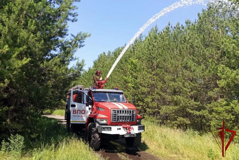 УЧЕНИЯ ПО ЛИКВИДАЦИИ ЛЕСНЫХ ПОЖАРОВ ПРОВЕЛИ РОСГВАРДЕЙЦЫ В ВОРОНЕЖЕ