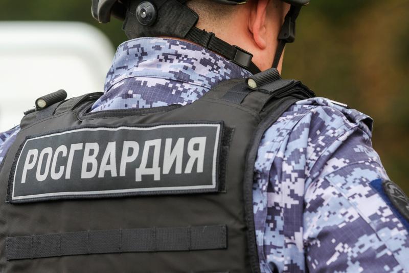 Росгвардейцы задержали серийного похитителя кондитерских и мясных изделий