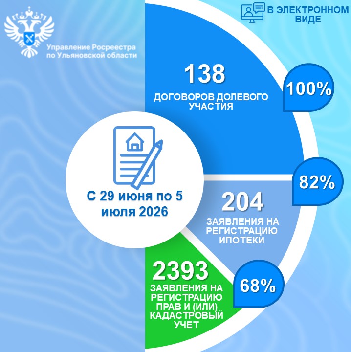 Электронные услуги (статистика) с 29 июня по 5 июля 2026