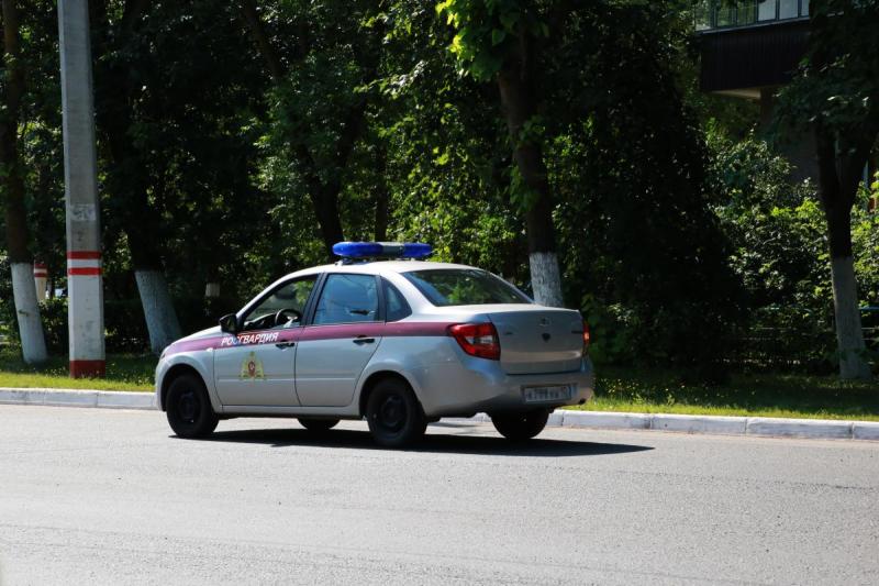 Сотрудники Росгвардии в Темникове задержали водителя, повторно севшего за руль в нетрезвом виде