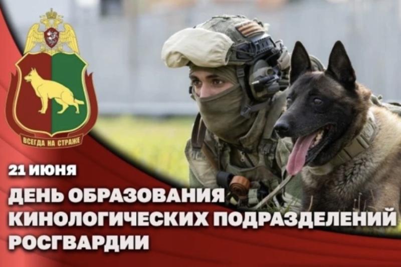 Генерал-полковник Иван Шмелев поздравил кинологов Росгвардии с профессиональным праздником