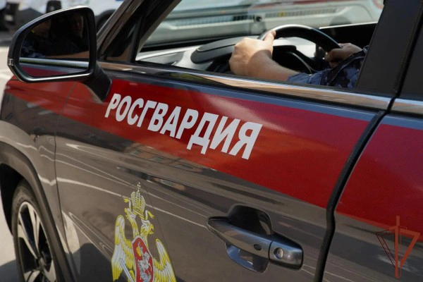 Росгвардейцы задержали подозреваемого в избиении пожилой женщины в Москве (видео)