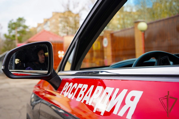 Росгвардейцы в Подмосковье задержали мужчину, находящегося в федеральном розыске (видео)