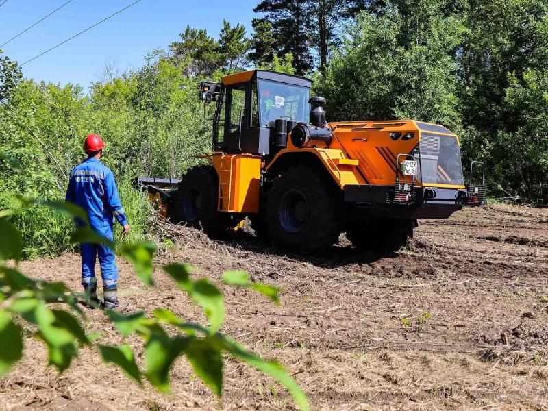 «Россети Новосибирск» минимизируют риски повреждений ЛЭП за счет масштабной расчистки просек