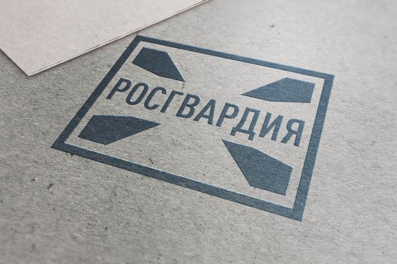 Итоги работы подразделений лицензионно-разрешительной работы Росгвардии за июль 2026 года