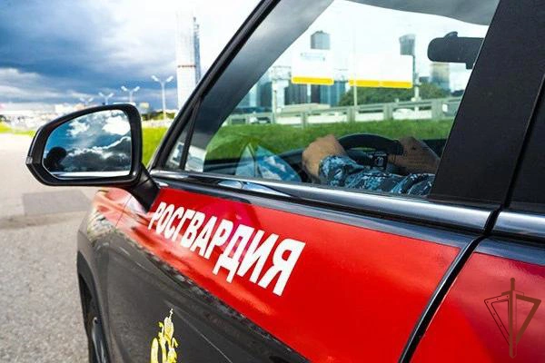 В Подмосковье росгвардейцы задержали подозреваемого в нанесении ножевых ранений (видео)