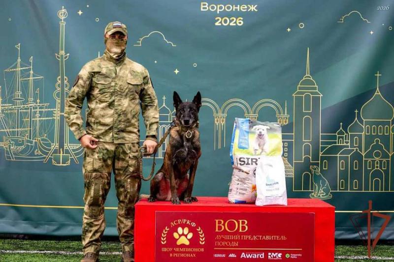 В Воронеже кинологи Росгвардии приняли участие во всероссийской выставке «Лучшие собаки России»
