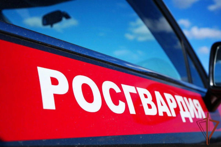 В Подмосковье росгвардейцы оперативно разыскали заблудившуюся в лесу пожилую женщину (видео)