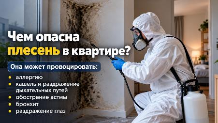 Плесень в квартире: какие болезни она может вызвать и как избавиться от опасного грибка